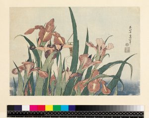 Iris og græshoppe, pub. af Nishimura Eijudo, ca. 1832, (yoko-e - vandret format, farvet træbloktryk) af Katsushika Hokusai