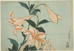Liljer fra en serie af store blomster uden titel af Katsushika Hokusai