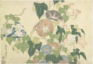 Morning Glories and Tree Frog, fra den navnløse serie kendt som Store blomster, ca. 1833-34 (træblok i farver) af Katsushika Hokusai