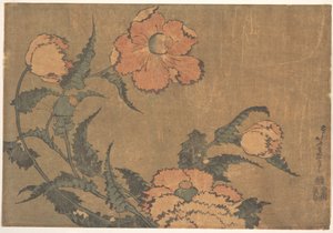 Valmuer i vinden af Katsushika Hokusai