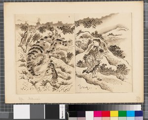 Scener fra krigen mellem Japan og Korea, slutningen af det 18. og første halvdel af det 19. århundrede (blæk og lavering på papir) af Katsushika Hokusai