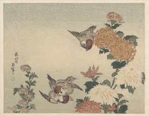 Spurve og krysantemum af Katsushika Hokusai