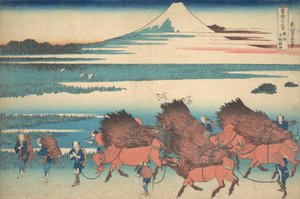 The New Fields at Ono i Suruga-provinsen Sunshu Ono shinden, fra serien Thir..., ca. 1830-32. af Katsushika Hokusai