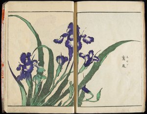 At formidle ånden og afsløre tingenes form: Hokusais billedhave, bind 1, komplet af Katsushika Hokusai