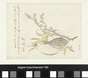 To fladfisk og blomme af Katsushika Hokusai
