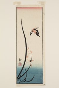 Sommerfugl og græs (træbloktryk i farver) af Katsushika II (fl.1820-50) Taito