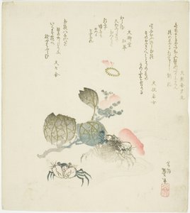 To krabber ved en spray af camellia af Katsushika Taito II