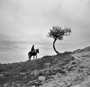 Bauer kehrt von den Feldern zurück, reitet auf einem Maultier, und das Profil hebt sich gegen den Himmel ab; trotz des Mannes reitet er im Damensitz von 