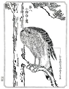 En høg, 1898. af Kawanabe Kyosai