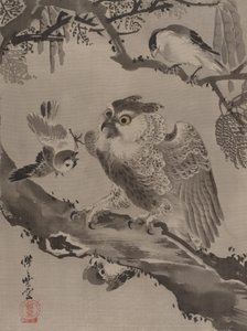 Ugle hånet af småfugle, ca. 1887.
