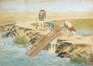 Holland, Leiden, Arbejde i rismarker