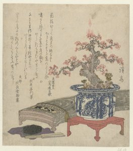 Koto med blommeblomst i potte af Keisai Eisen