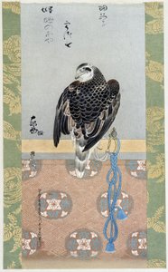 Falcon - silkemaleri af Itaya Keishiu af Keishu Hiromasa Itaya