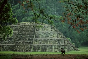 Honduras; Copan; Maya