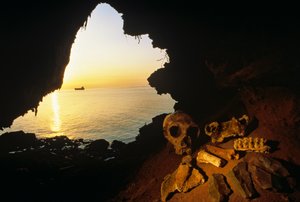 Nendertal-kvindes kranium, flækkede redskaber og knogler fra en Ibex - vild ged, Gibraltar, I..., 2008 (foto) af Kenneth Garrett