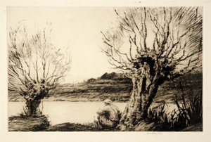 The Willows, af Kerr Eby