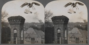 I gamle tider, hvis folk var gode, ville storken bringe en sød og smuk baby, 1907. af Keystone View Company
