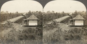 Gruppe på 14 stereografier af Afrika og skuespillere, 1850