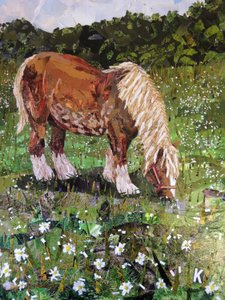 Hillside Hest