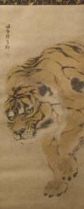 Tiger, begyndelsen af det 19. århundrede.