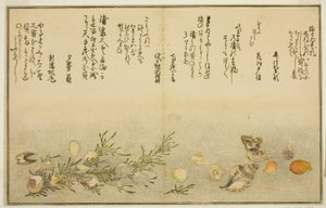 Der er Benny, der er rædsel, der er urayu-gai, waget-gai, Chiyo-no-hana-gai, plan d Masho, fra tee-lagblade af af Kitagawa Utamaro