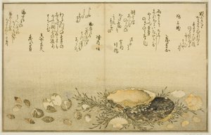 Chidori - udenfor, smerte - udenfor, abalone, bevæg dig - udenfor, muslinger - udenfor, der er en idé til Allah, fra latte-bladene af af Kitagawa Utamaro