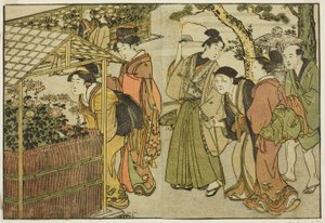 Udstilling af krysantemum, fra den illustrerede bog "Picture Book: Flowers of the Four Seasons (Ehon shiki no hana)," vol. 2 af Kitagawa Utamaro