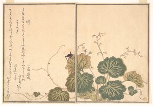  af Kitagawa Utamaro