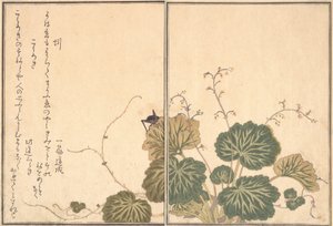 Regnorm Mimizu, Cricket Korogi..., 1788. af Kitagawa Utamaro