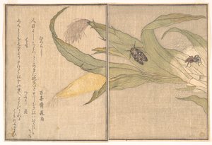  af Kitagawa Utamaro
