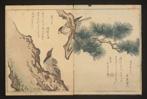 Gronbeak og spætte af Kitagawa Utamaro