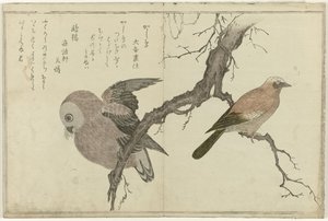 Jay og ugle af Kitagawa Utamaro