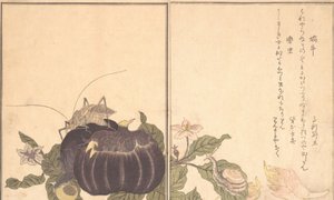 En snegl i viften d S, en snegl i regningen. . . , 1788. af Kitagawa Utamaro
