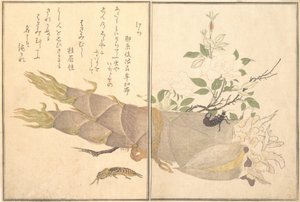 Mole Cricket Kera, Earwig, Hasami-mushi..., 1788. af Kitagawa Utamaro