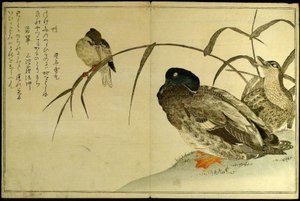 Myriader af fugle: En Kyoka-konkurrence (Momo chidori kyoka awase) af Kitagawa Utamaro