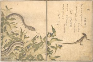  af Kitagawa Utamaro