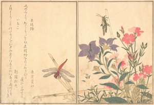 Red Dragonfly Akatonbo, Locust Inago..., 1788. af Kitagawa Utamaro