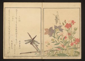 Rød guldsmede og græshoppe af pinks af Kitagawa Utamaro