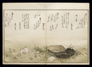 Shiohi no tsuto (Gaver fra Ebbe Tide), kendt som Shell Book, 1789 (farvet træbloktryk) af Kitagawa Utamaro