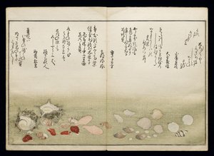 Shiohi no tsuto (Gaver fra Ebbe Tide), kendt som Shell Book, 1789 (farvet træbloktryk) af Kitagawa Utamaro