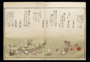 Shiohi no tsuto (Gaver fra ebbe), kendt som Shell Book, 1789 (farve-træsnit) af Kitagawa Utamaro