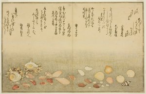 Hvid yderside, rynker på overfladen, Maclar Street, Yellow Street, Other Street, Sadaei, fra tee st latte d book o k "Teknik fts from tee eh b on the ground (bracts of seawater)" af Kitagawa Utamaro