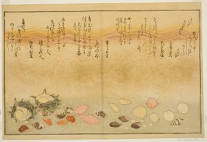 Hvid yderside, rynker på overfladen, Maclar Street, Yellow Street, Other Street, Sadaei, fra tee st latte d book o k "Teknik fts from tee eh b on the ground (bracts of seawater)" af Kitagawa Utamaro