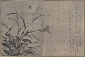 Træcricket Matsumushi, Firefly Hotaru..., 1788. af Kitagawa Utamaro