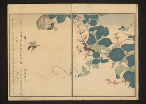 Hvepse og behåret larve på pilerod af Kitagawa Utamaro