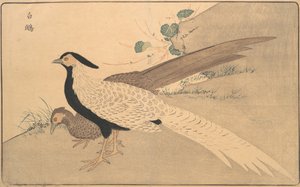f. Ae Hyun, 1789.