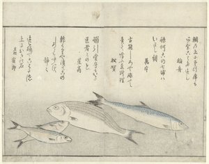 Fire fisk af Kitao Masayoshi