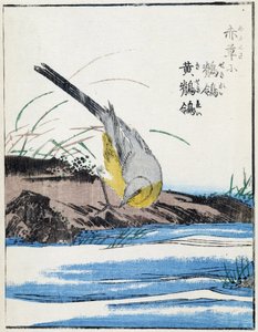 Fugl. Japansk tegning af Kitao Kosuisai