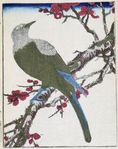 Fugl på et træ. Japansk tegning af Kitao Kosuisai af Kitao Shigemasa