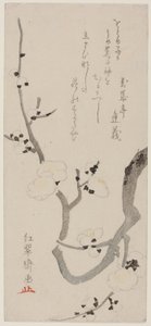 Blommegren af Kitao Shigemasa